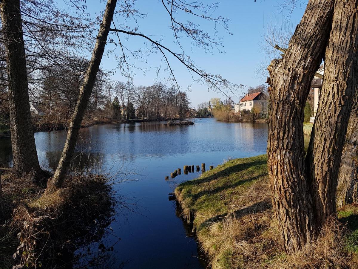 Apartmán Zum Eulennest Drážďany Exteriér fotografie